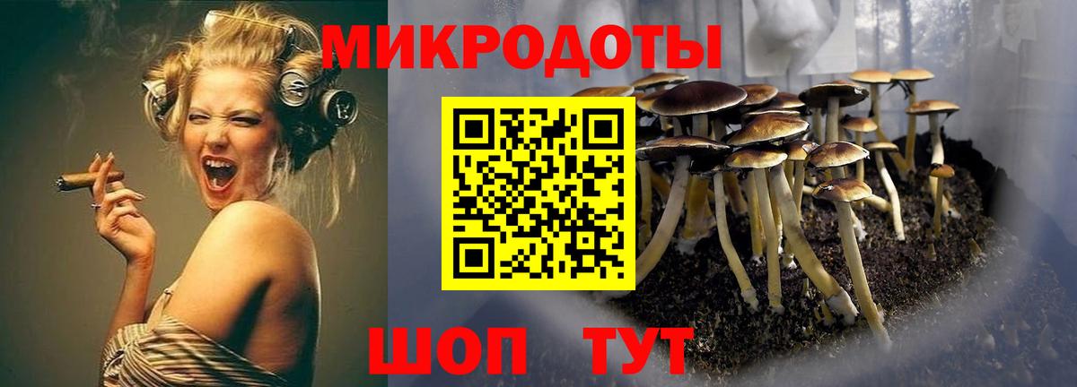 Галлюциногенные грибы Psilocybine cubensis  Вход с VPN  купить наркотик  Избербаш 